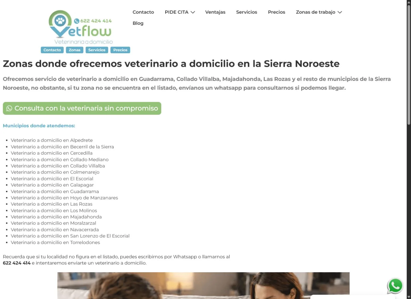 Estructura de zonas de trabajo de VetFlow